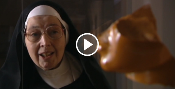 Sister Wendy's American Collection
